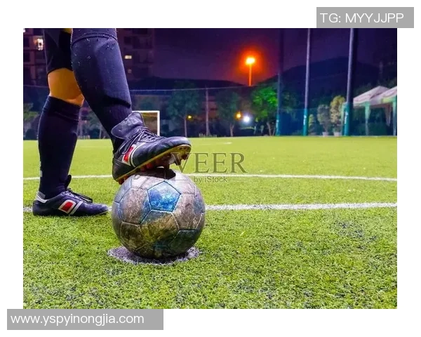 足球科木带你领略足球的魅力与科学的完美结合探索运动与技术的无缝对接