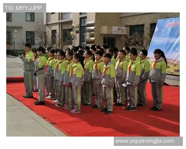 阳泉足球比赛盛况空前球迷热情高涨共同见证精彩瞬间